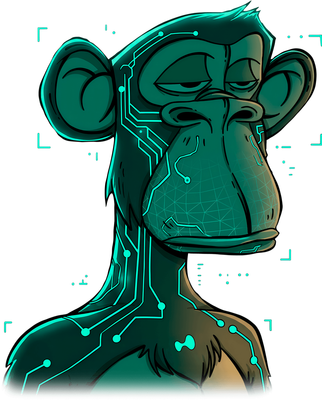 HYPE Apes — hero mascot specimen